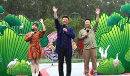 白鹭夺宝最新爆料视频播放,揭秘宝藏背后的神秘力量